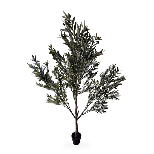 Olivo artificial de 180 cm con maceta negra sobre fondo blanco
