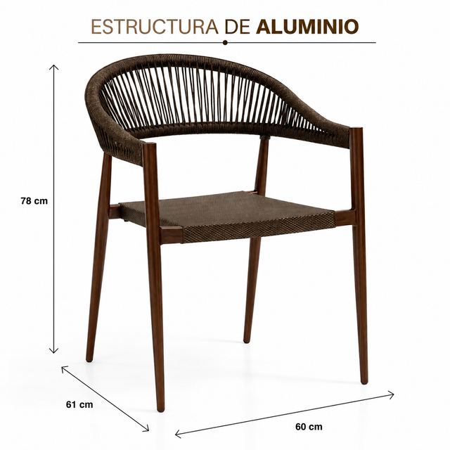 Silla Andes